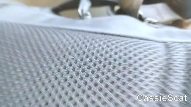 Taking a Shit in an Airplane Toilet